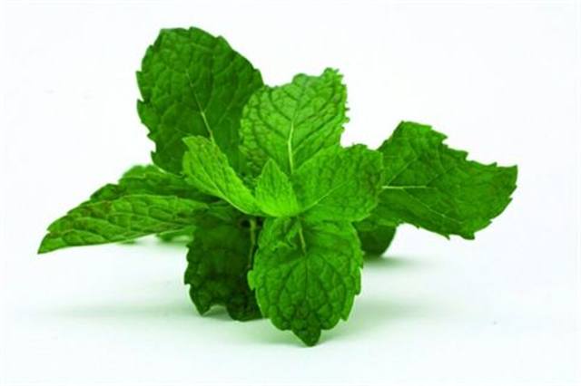 Peppermint - rejuvenating and aphrodisiac Stimulates the mind; acts as an antiseptic and deodorizer