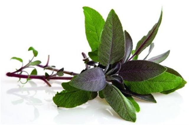 Clary Sage - relaxing Used as an antibacterial, antiviral; dispels depression, fatigue, stress, fear; stimulates creativity, dreams